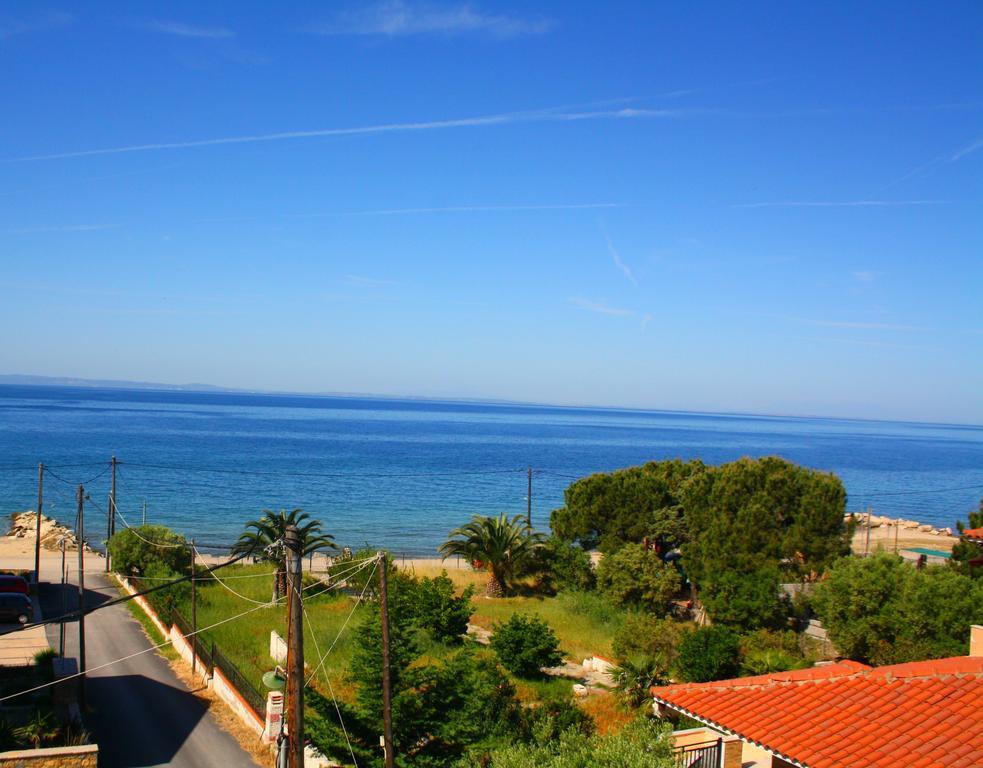 Appartamento Summer House